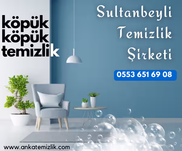sultanbeyli temizlik şirketi